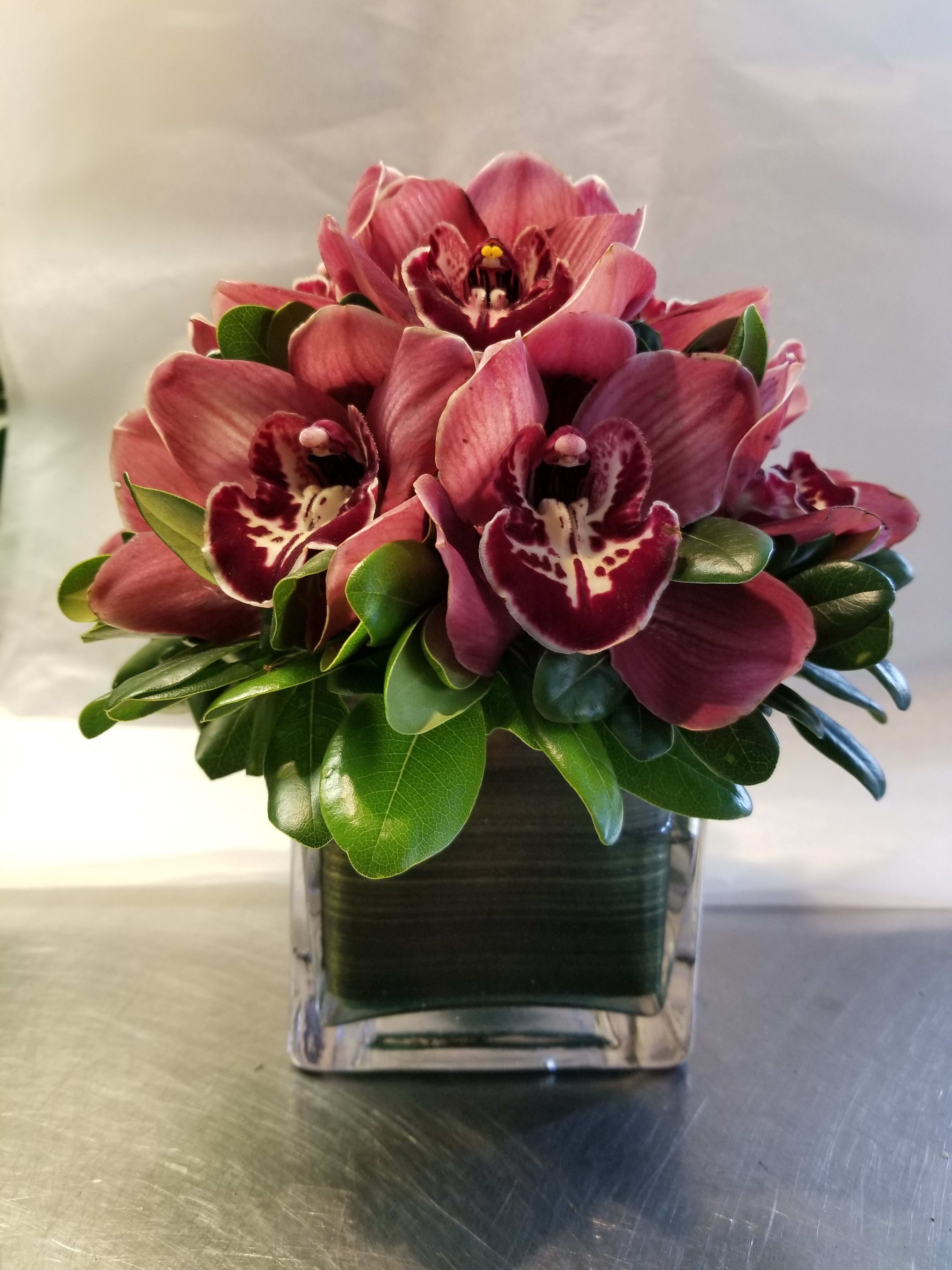 Cymbidium Orchids Arrangement By Citywide Florist In New