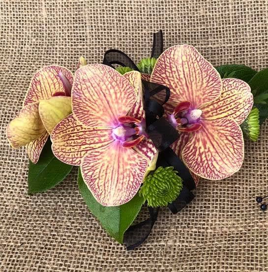 Fresh Orchid Wrist Corsage In Edwardsville Il Goff And Dittman Florists