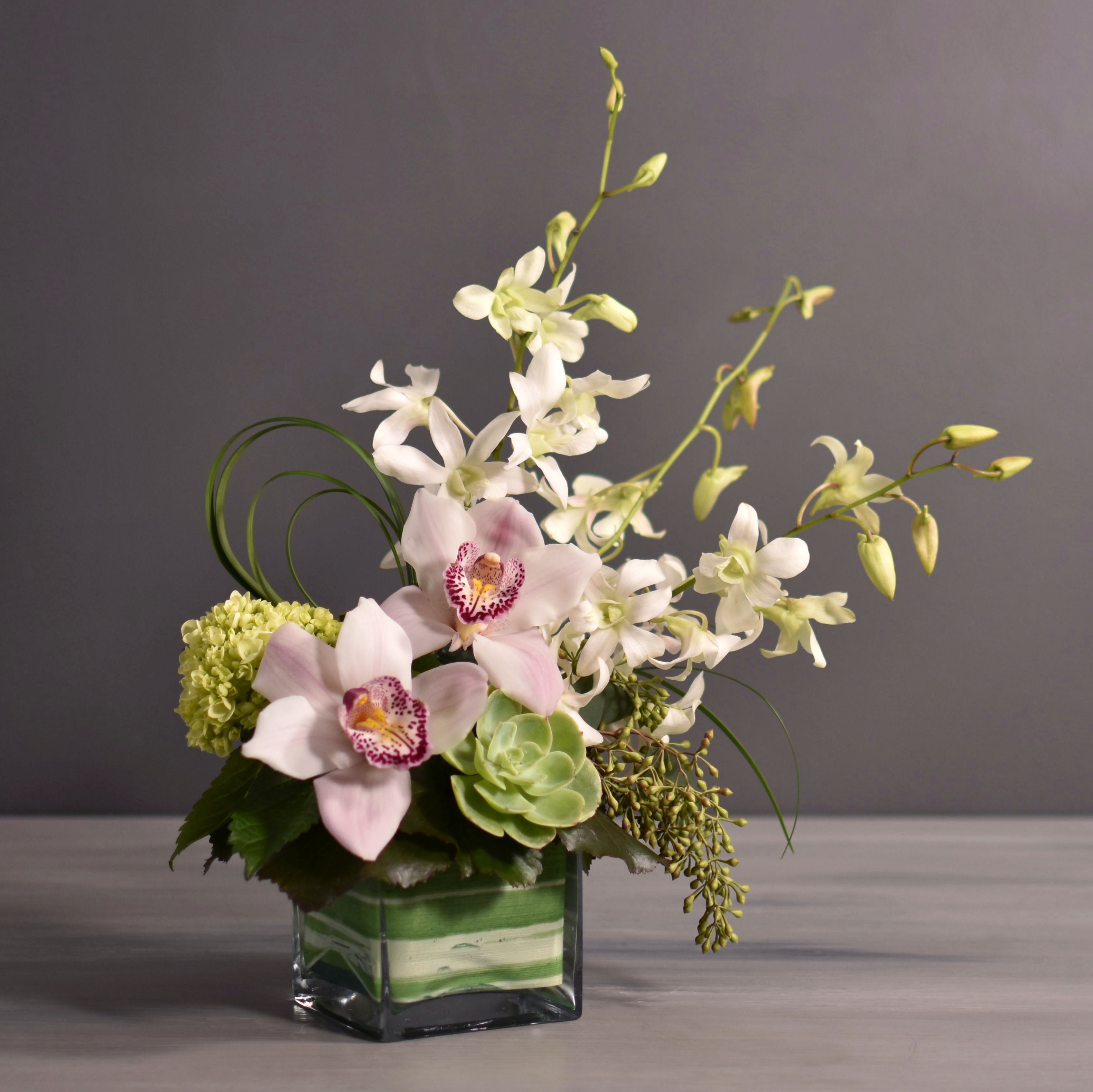 Orchid Delight In Kansas City Mo Fiddly Fig