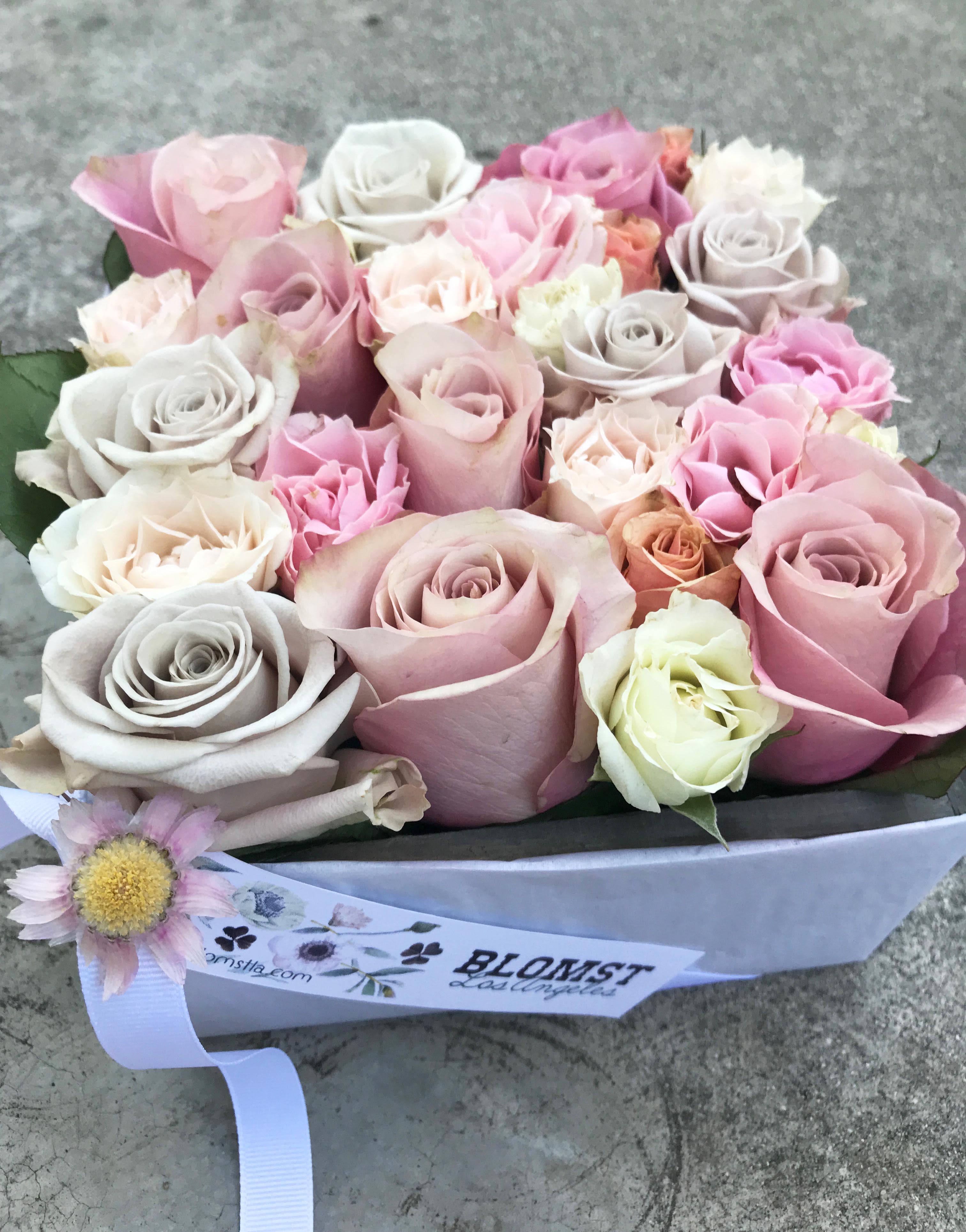 melrose rose bear