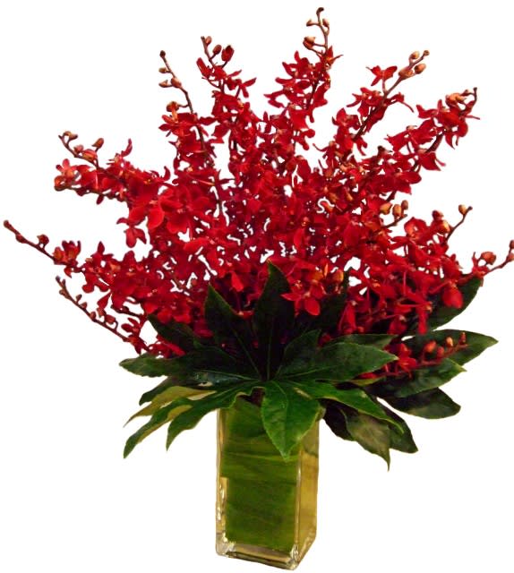 Red Elephant Orchids Vase In San Diego Ca House Of Stemms