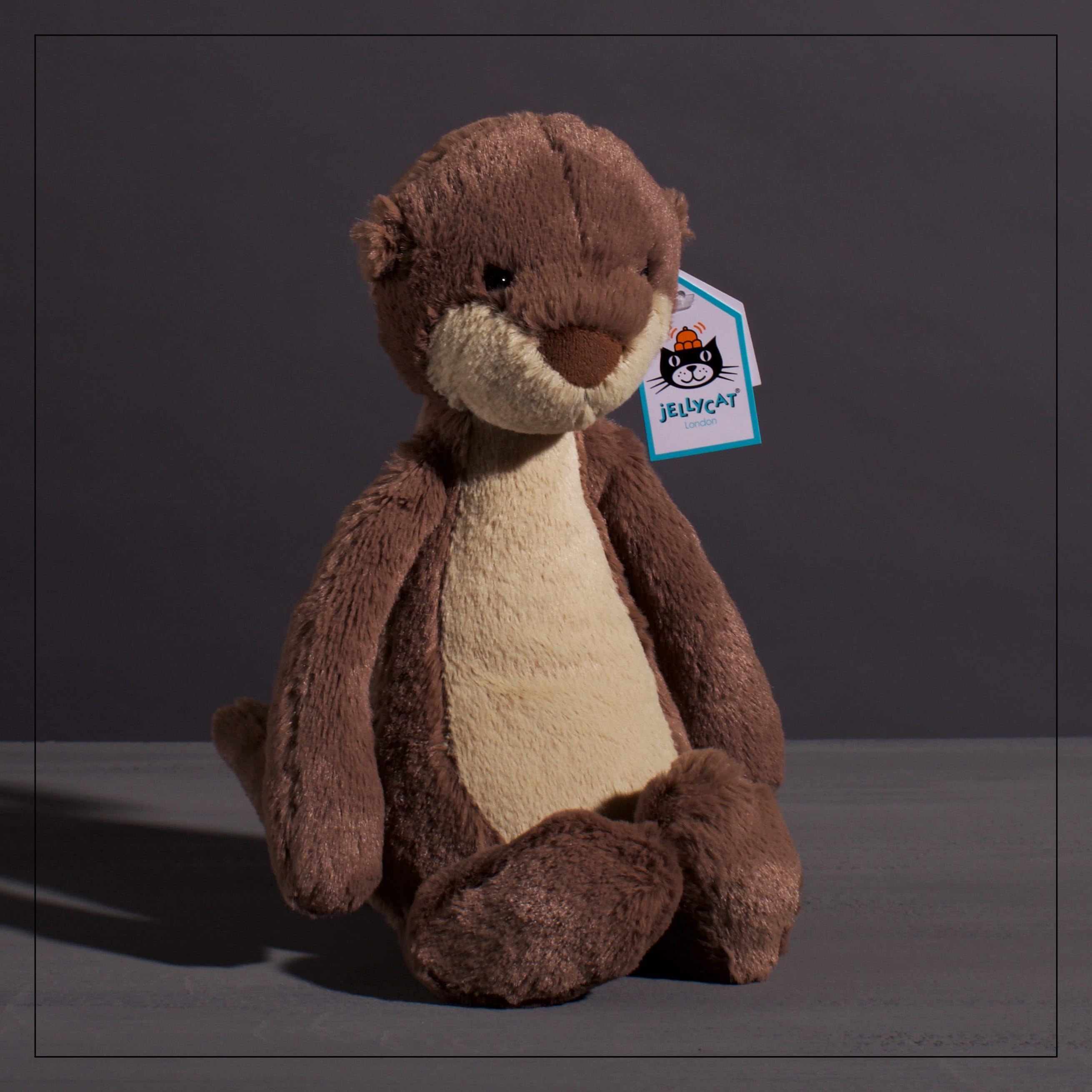 bashful otter
