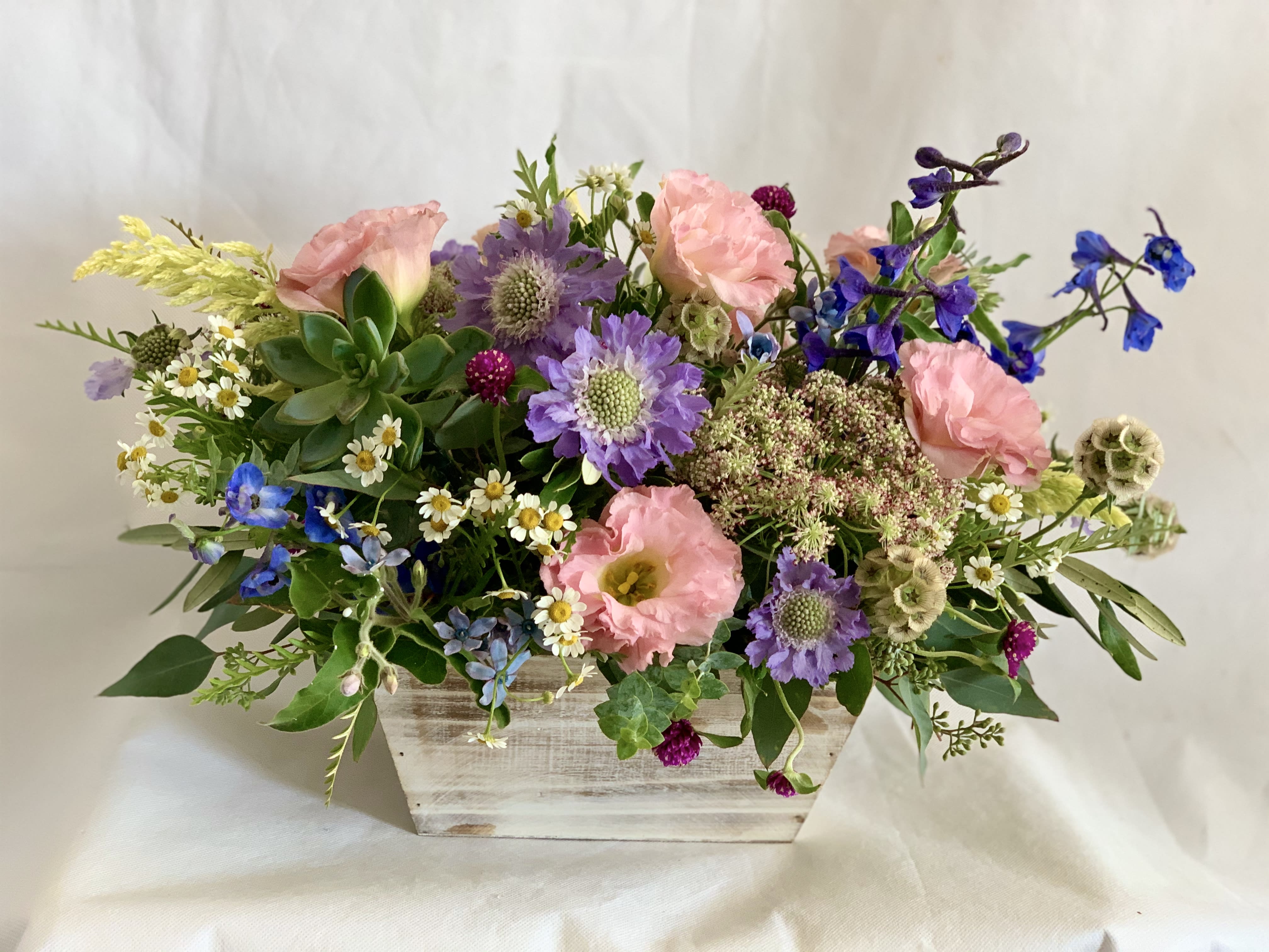 Mesa Garden in Santa Barbara, CA Alpha Floral