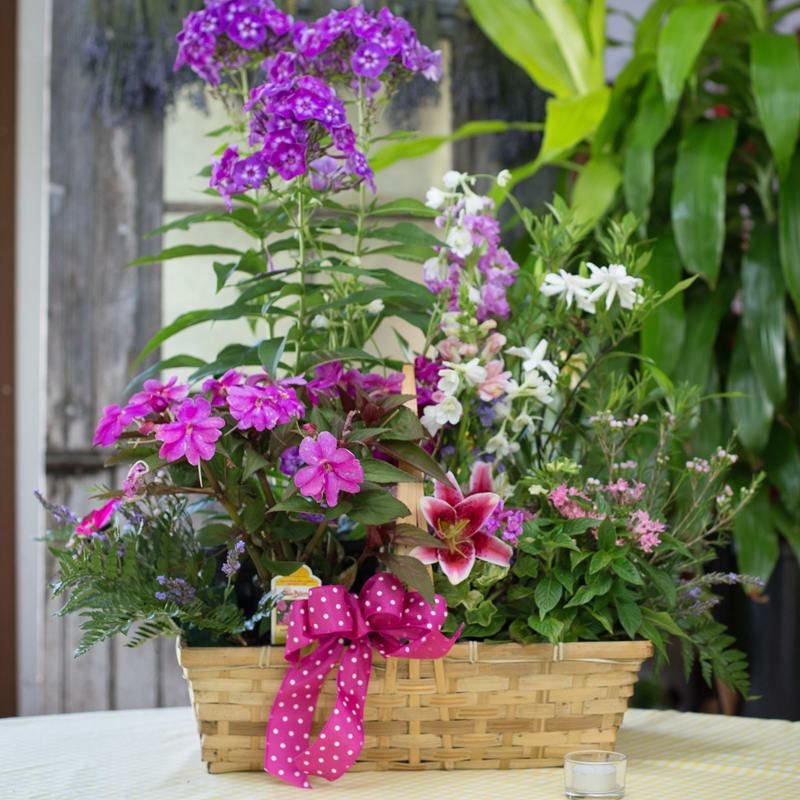 South Jersey Native Plant Garden Basket 429674 in