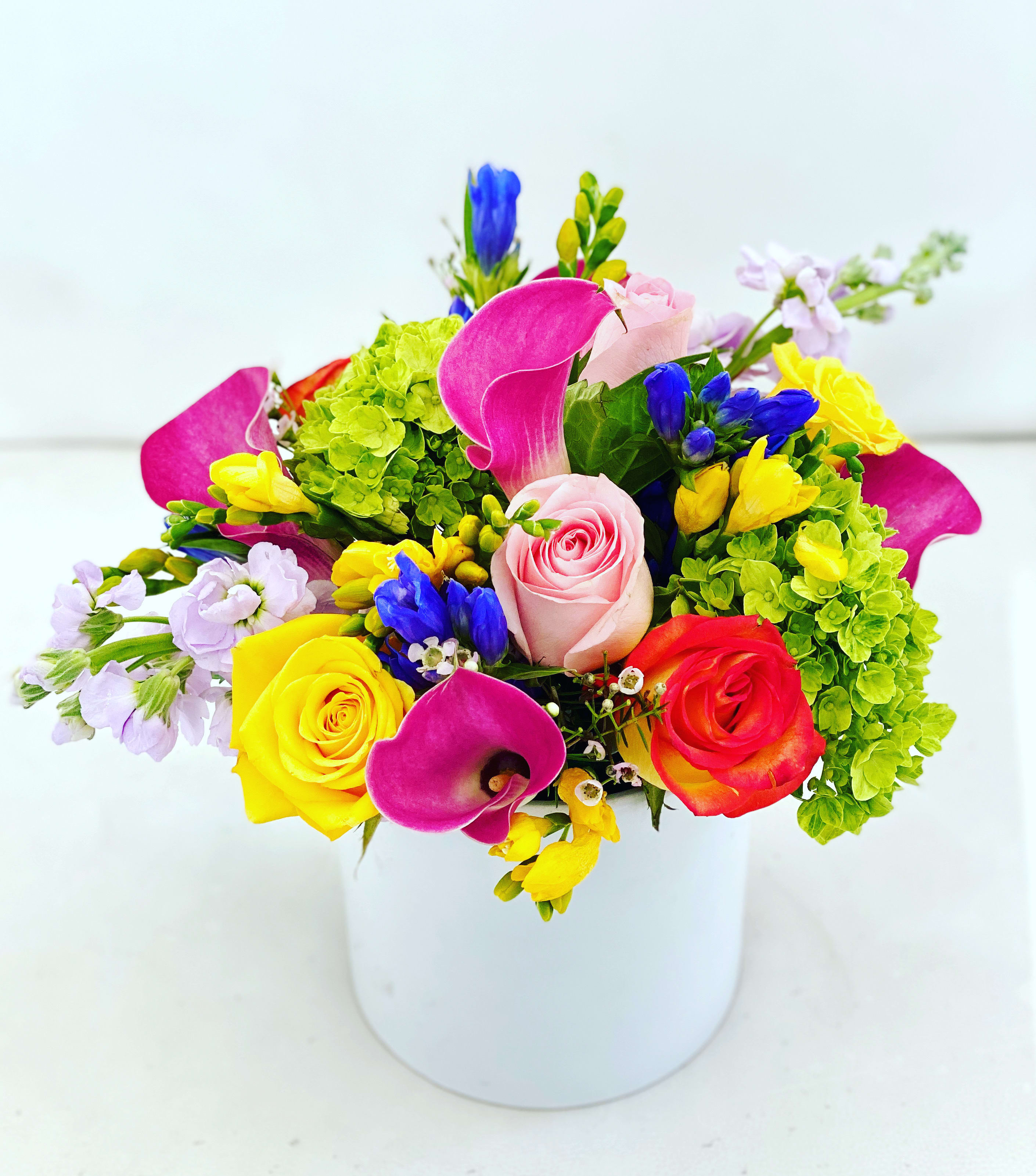 Spring Morning In Doral Fl Doral Orchids Florals Events
