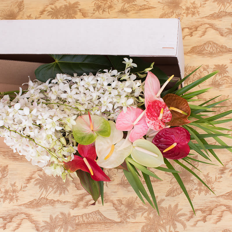 Heavy Orchids Un Assembled And Shipped Directly From Farm In Honolulu Hi Watanabe Floral Inc
