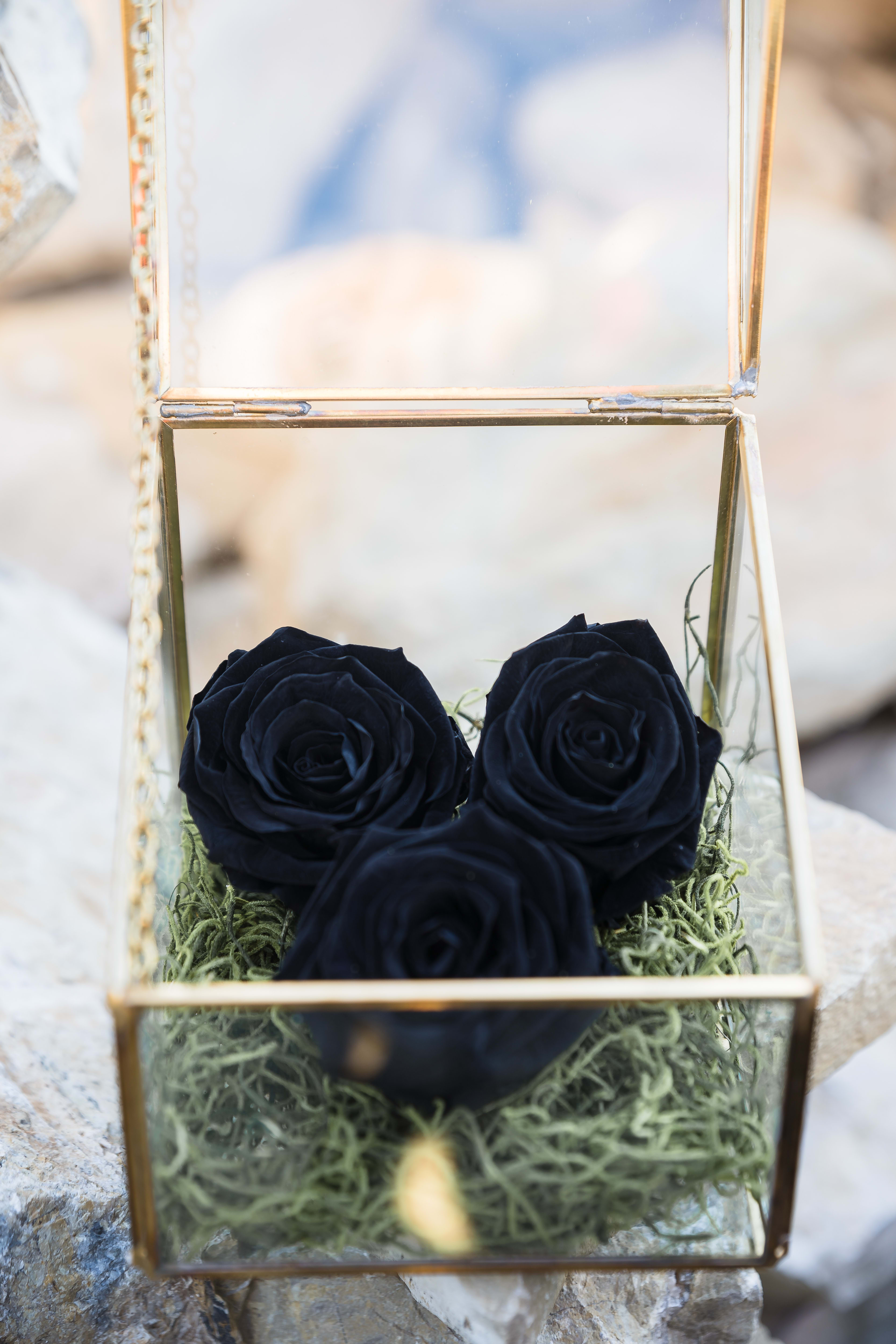 All Year Roses Trio Black Roses By Andes Florist