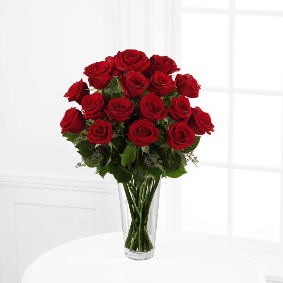 18 Red Roses In Miami Fl Dollys Florist
