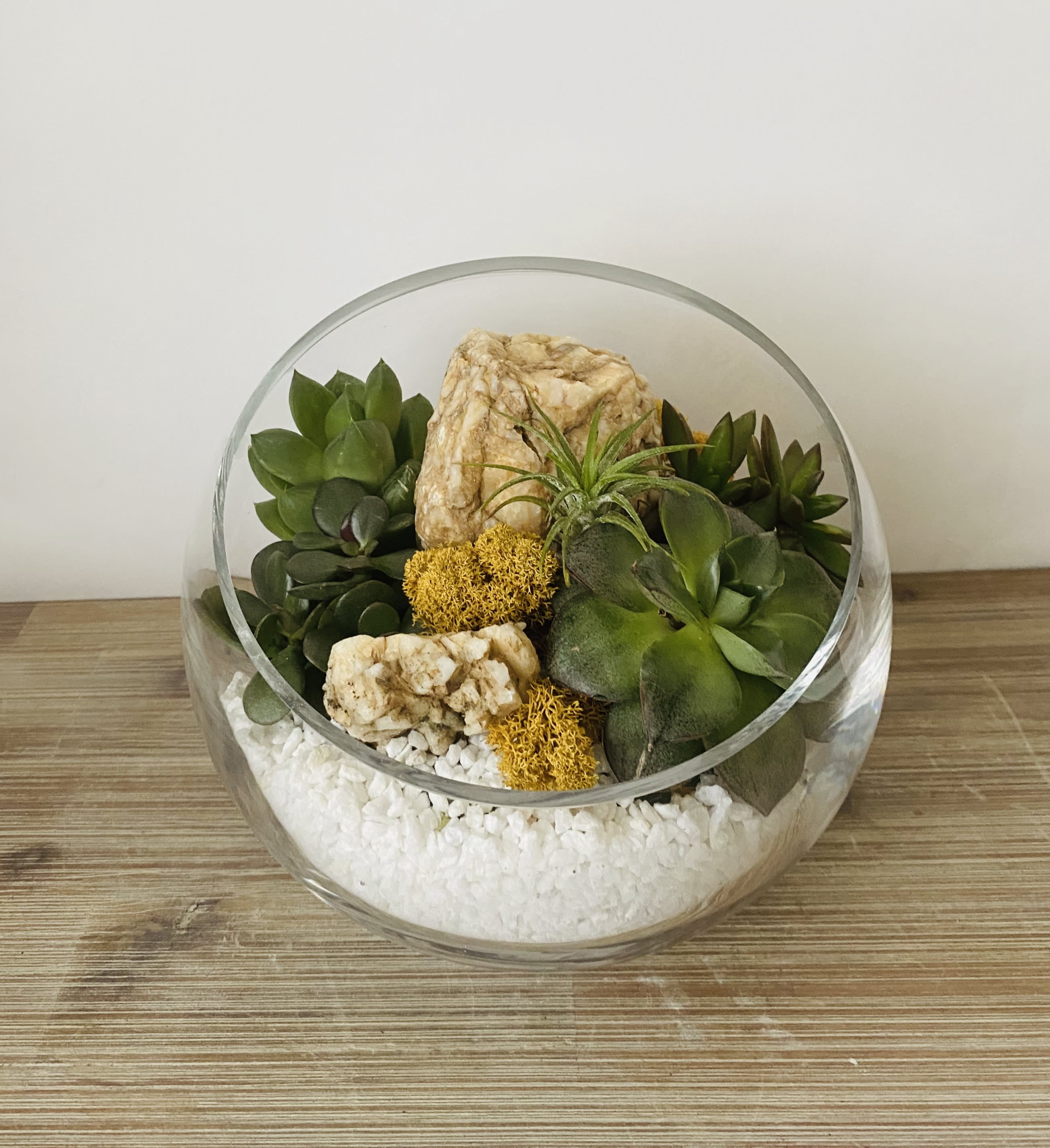 Succulent terrarium in Washington, DC Shoots and Blooms of D.C.