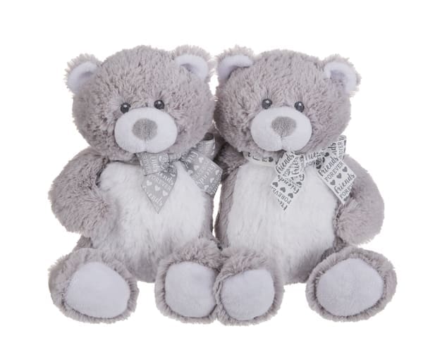 friends forever teddy bear