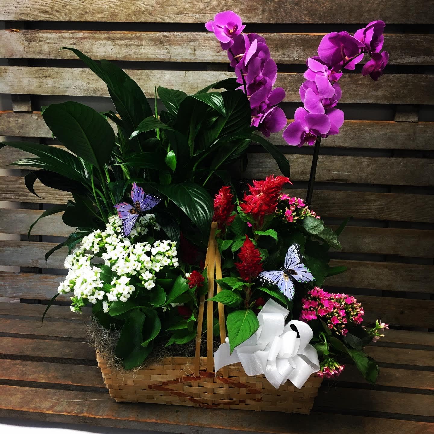 Custom made seasonal blooming basket in Media, PA Media Florist