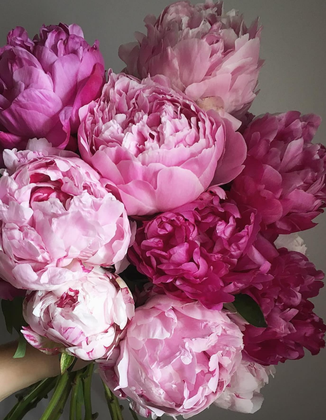 Bouquet Of Peonies In Cerritos Ca Cerritosflowers Com