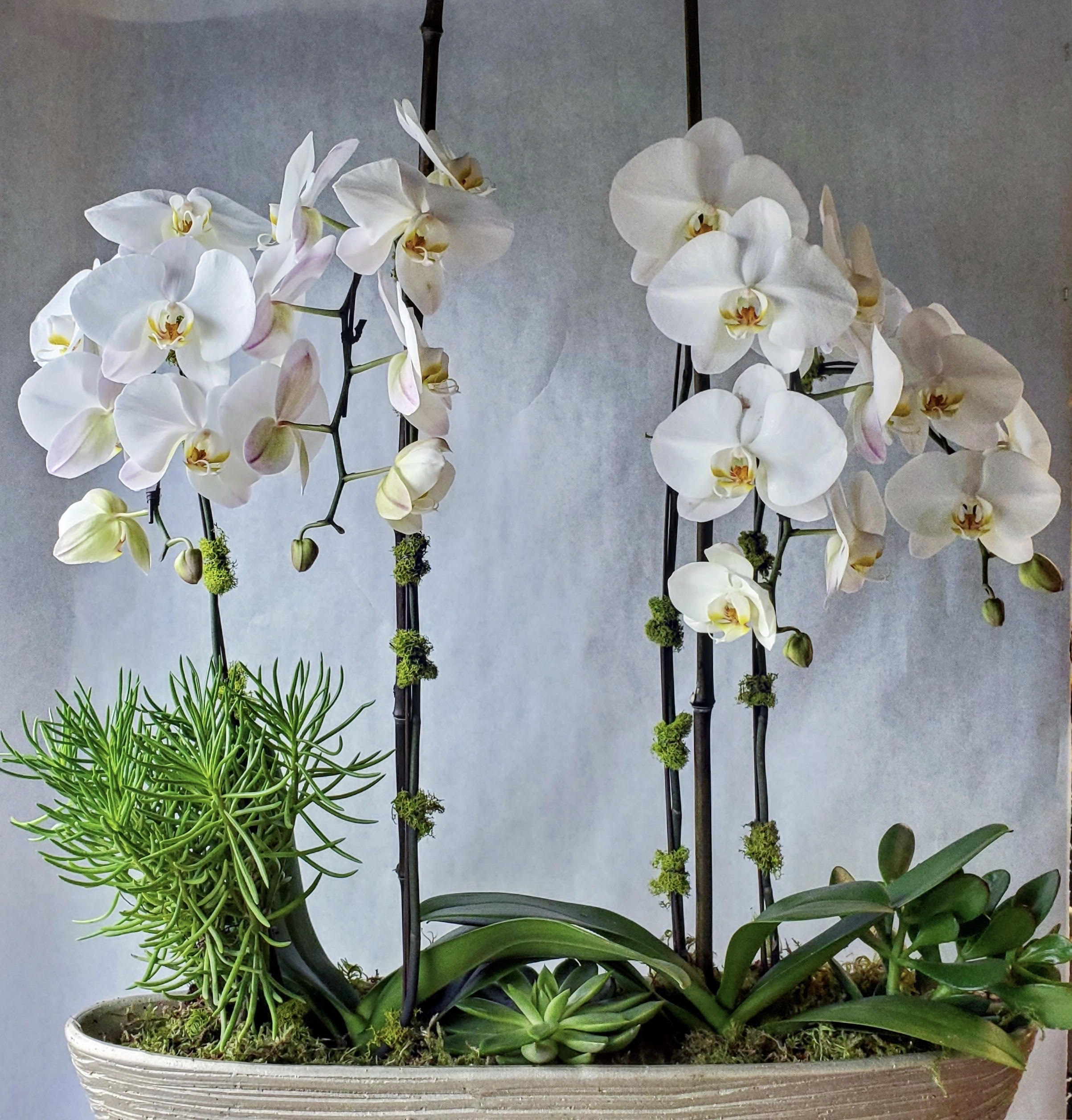 The Stunner In Mercer Island Wa Mercer Island Florist