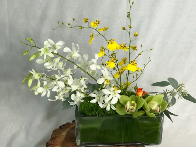 Simply Orchids In Las Vegas Nv English Garden Florist Las Vegas