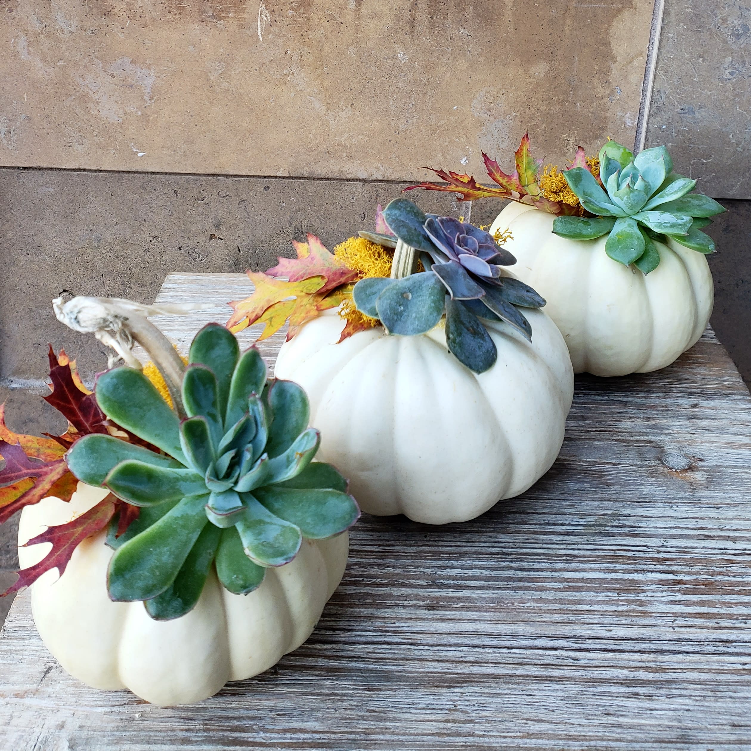 Triple Pumpkin Centerpiece In San Mateo Ca Blossoms And Botanicals