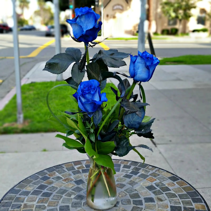 Blue Three 3 Blue Roses In Vase By A Beautiful California Florist