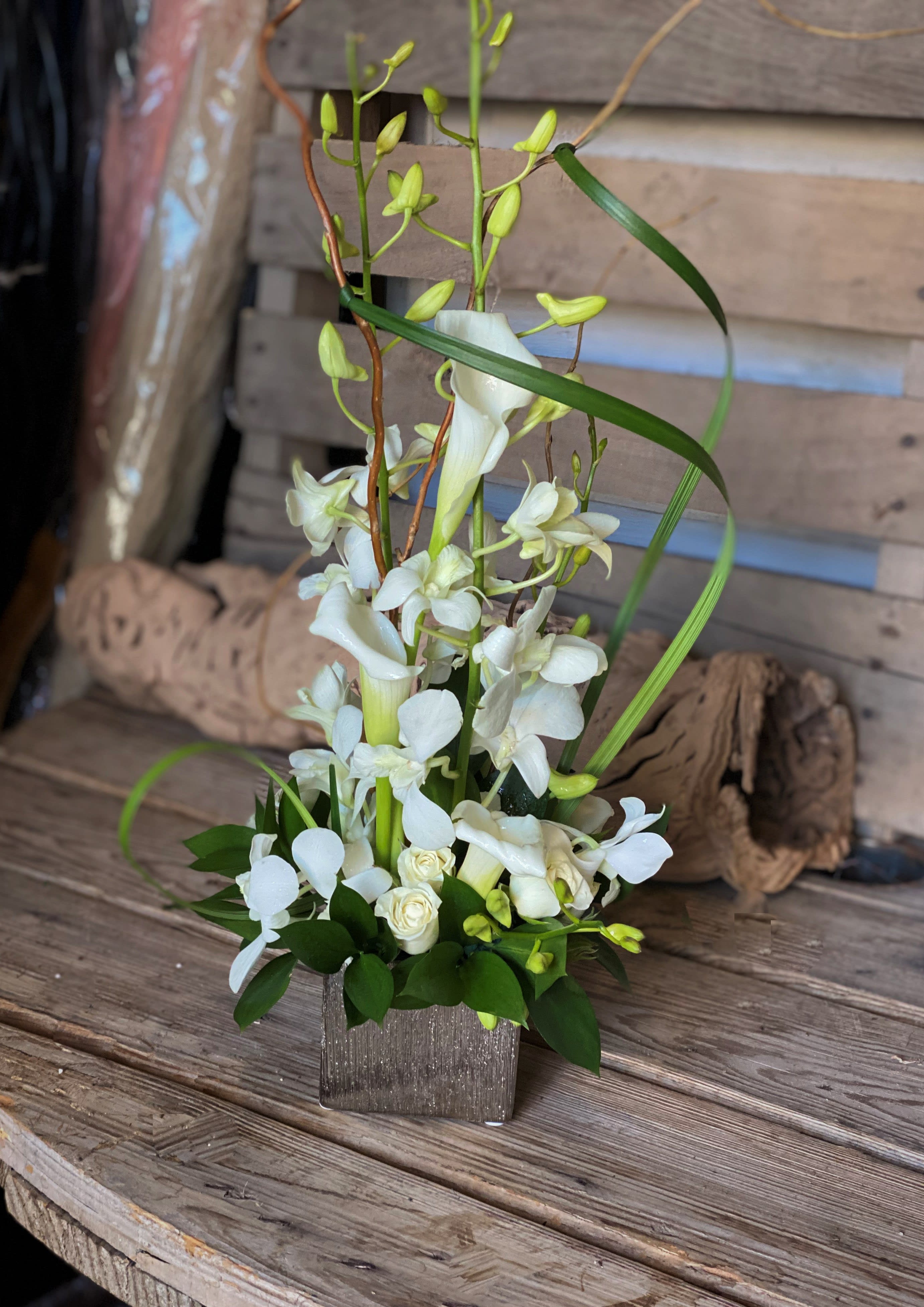 White Desk Orchid In Las Vegas Nv A Garden Floral