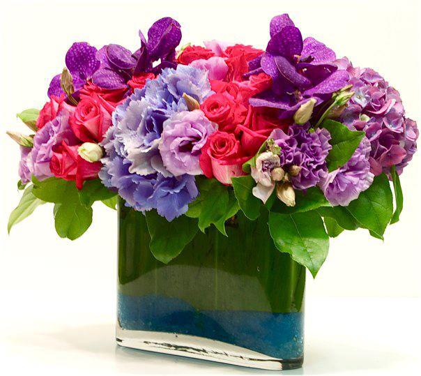 Diva Delight In Beverly Hills Ca My Beverly Hills Florist