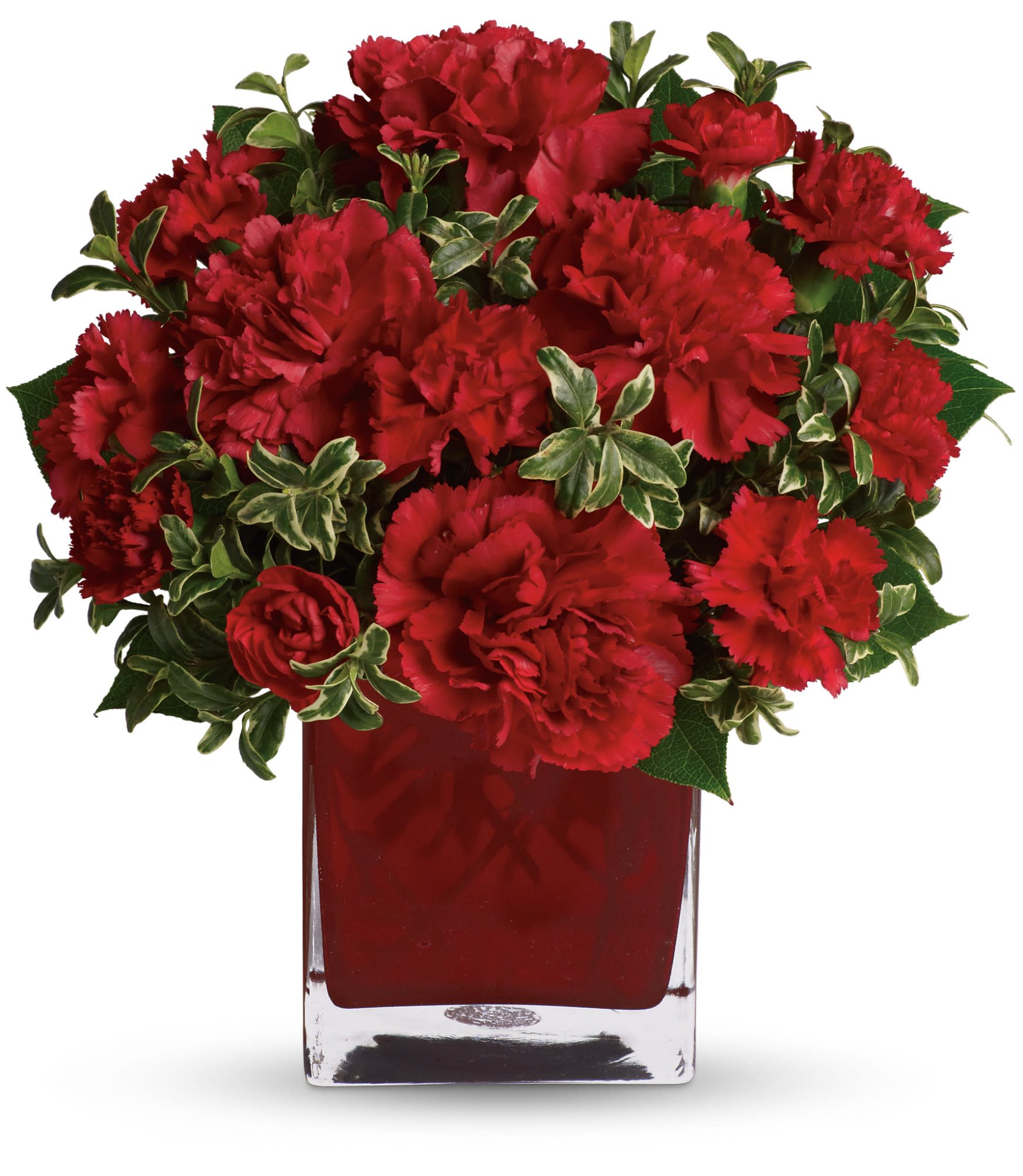 Precious Love - Simply speaking, red means romance. Send this bouquet of vibrant red carnations to your sweetheart and you'll convey passion, energy and desire. Remember also that you're sending not one gift but two: gorgeous flowers and a colorful cube vase.  
