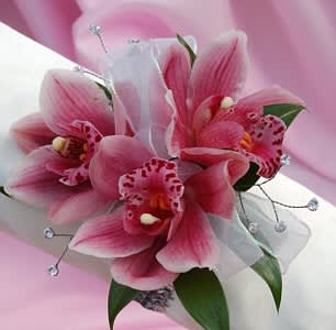 Porch Swing Corsage - sweetest mini Cymbidium Orchids tucked together within white ribbon