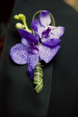 Vanda Boutonniere - A purple Vanda Orchid Boutonniere