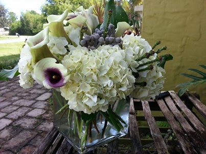 Gotcha Gotcha - White hydrangea, mini calla lilies, brunia berries, green cymbidium orchids in clear glass vase.