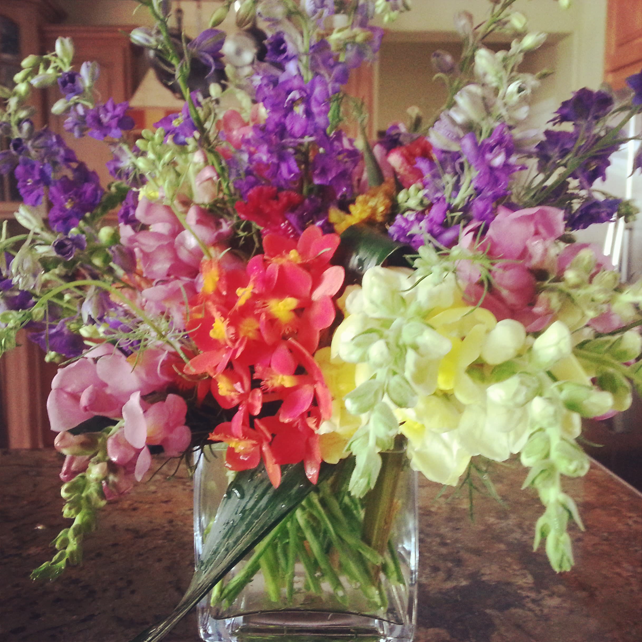 Snappy Snappy - Large Fat cylinder generously designed with assorted colors of Snapdragons and Larkspur