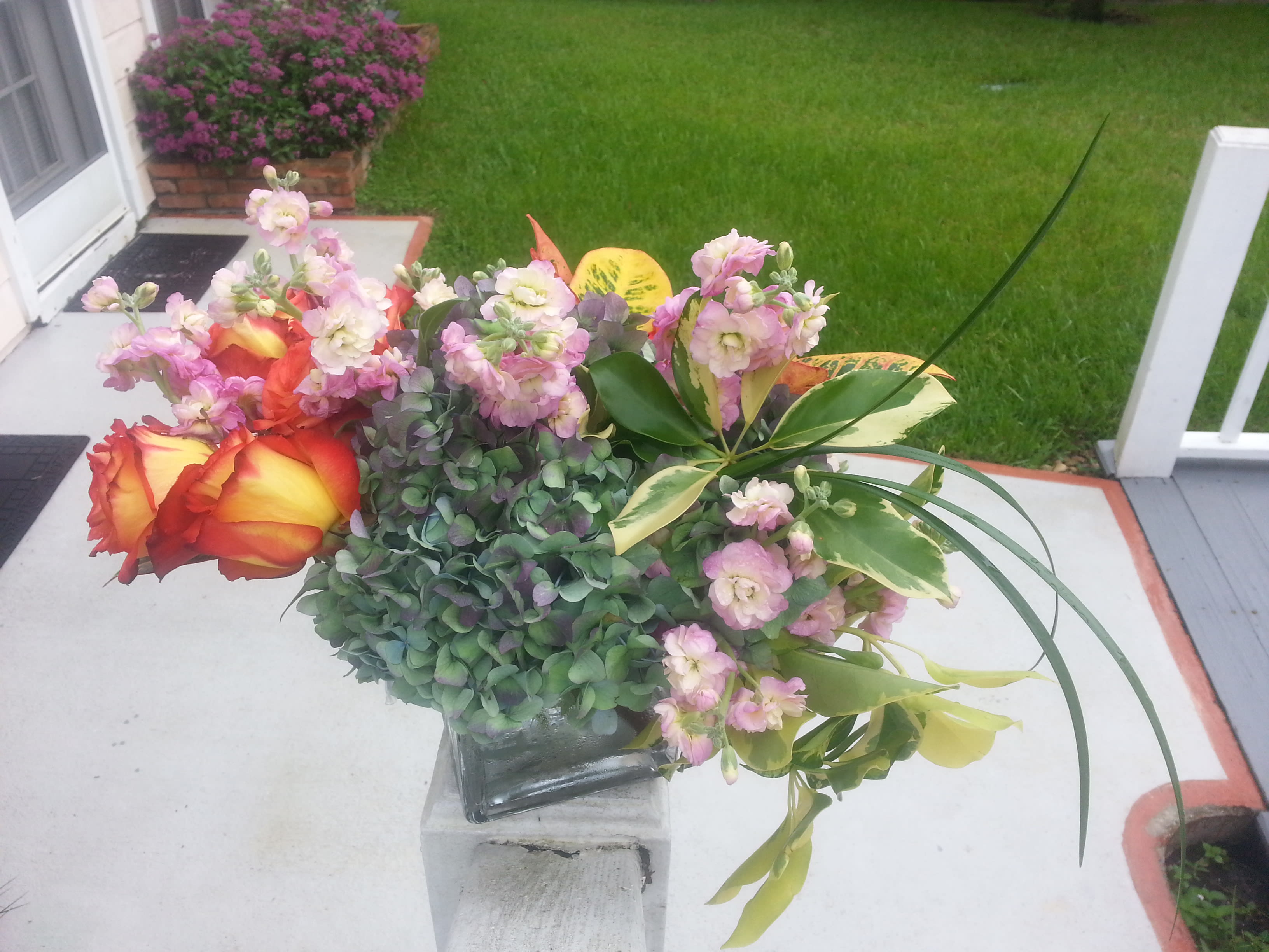 Out of the Box Out of the Box - Striking unique antique Hydrangeas highlighted in this out of the box designer's choice.