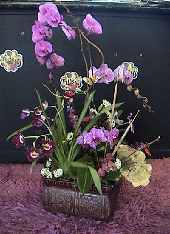 Purple Phalaepnosis - phalaepnosis arrangements in a bronze tin vase