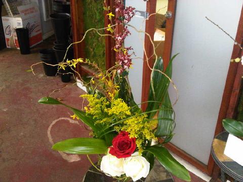 Chocolate Orchid - A chocolate scent orchid in a unique arrangements