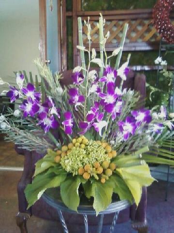 Exotic Dendrobium - Dendrobium orchids mix arrangements 