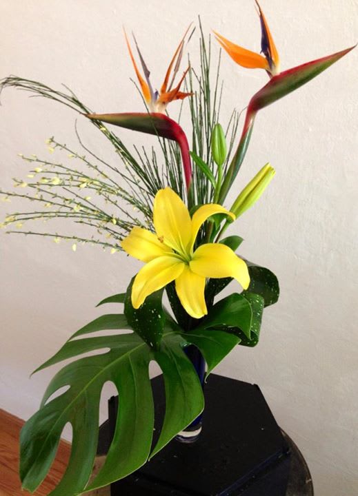 Peacock  - Elegance with the tropical and exotic birds of paradise arrangement 