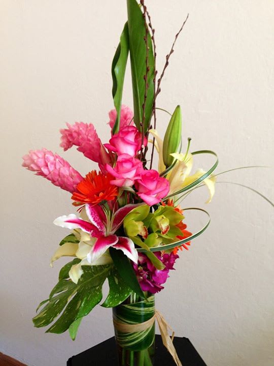 Caffi - Exotic tropical mixed arrangements 