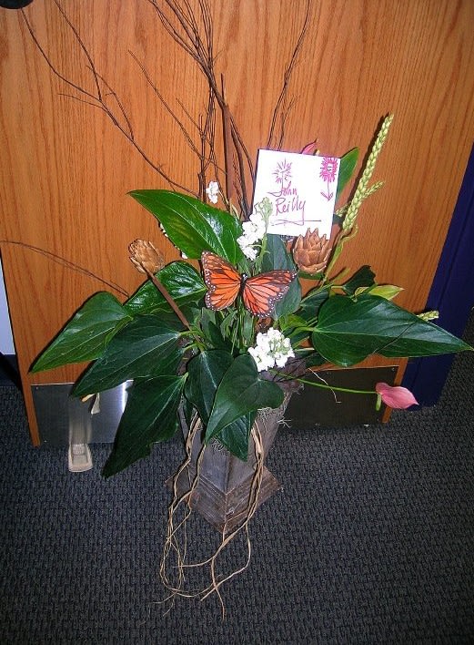 Oline Petrussen Flowers & More West Chester Pa / Faunbrook Bed