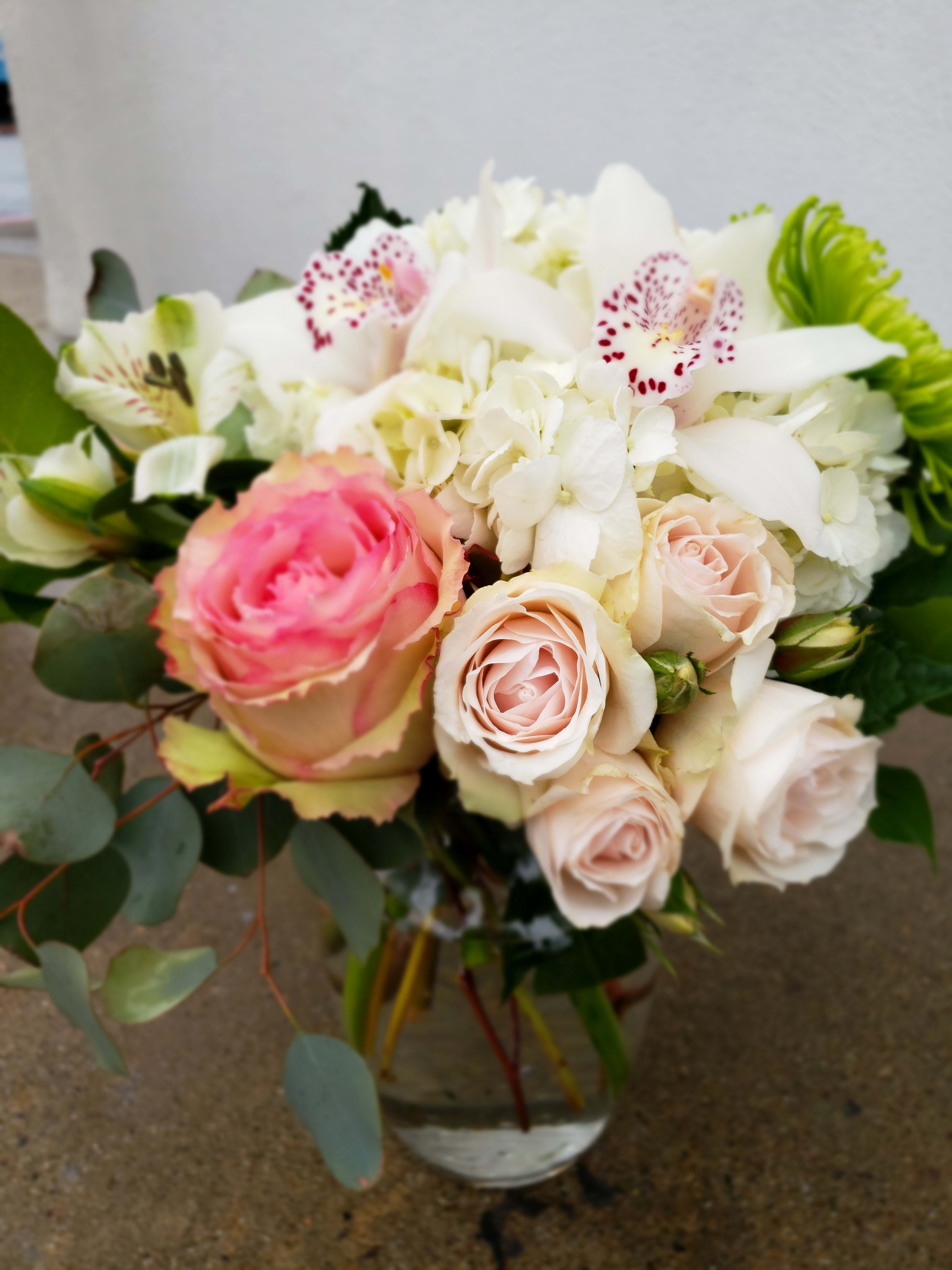 Butterfly Kisses In San Diego Ca Point Loma Village Florist