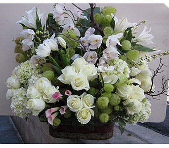 ann's flower shop santa monica