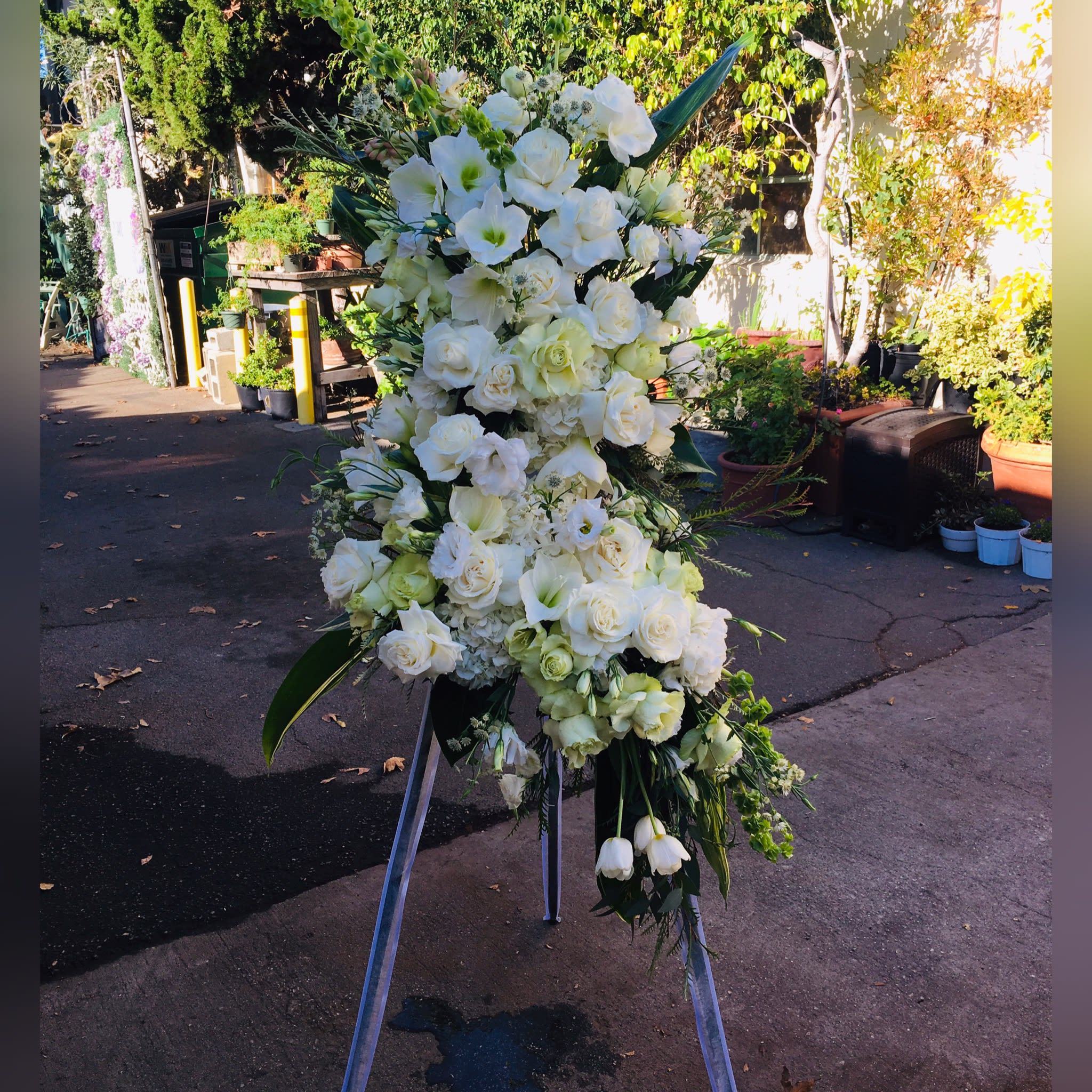 Ivory Radiance In Los Angeles Ca Designs By David Give us a call or. ivory radiance in los angeles ca designs by david