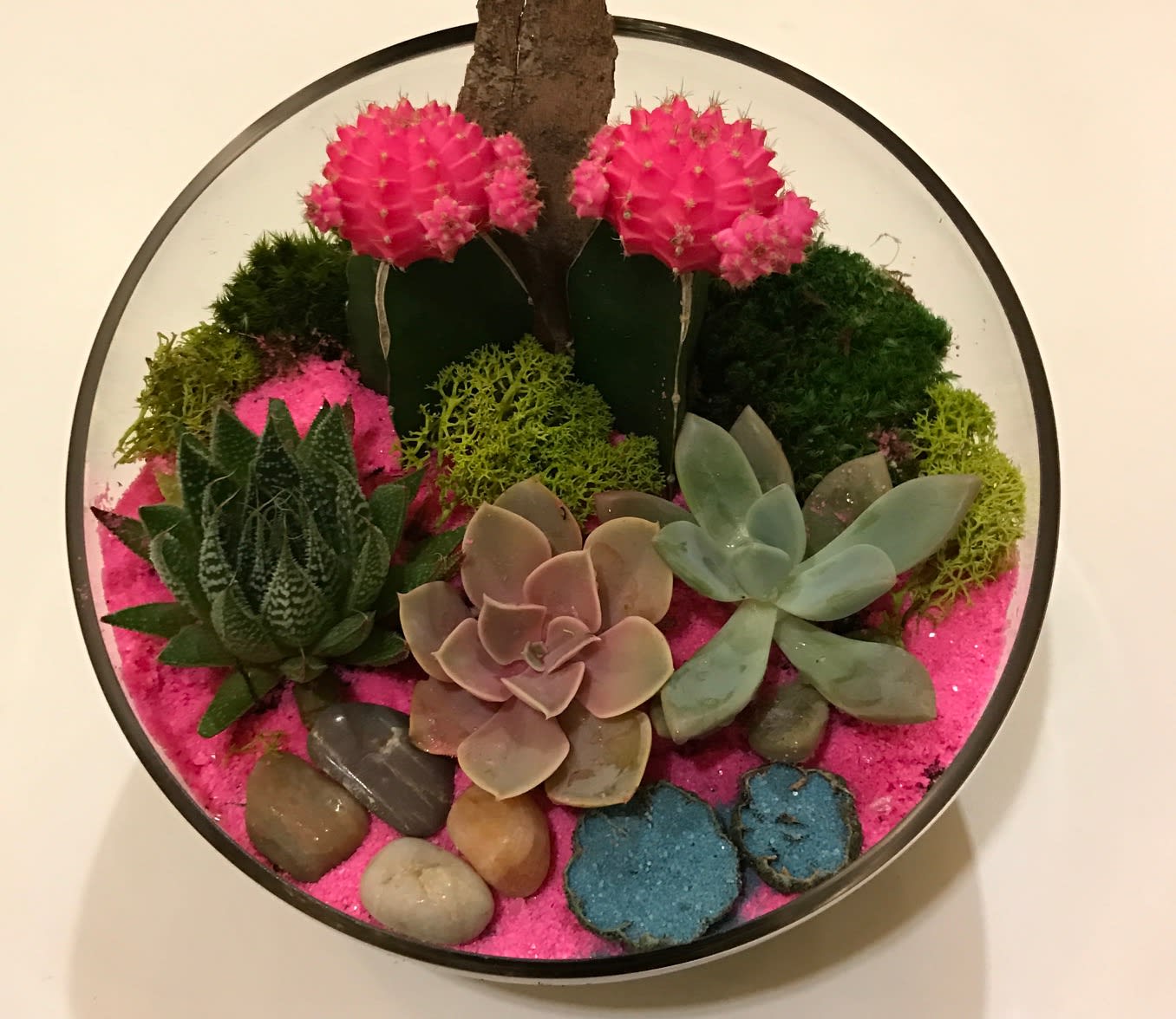 Terrarium in Los Angeles, CA Downtown Flowers net