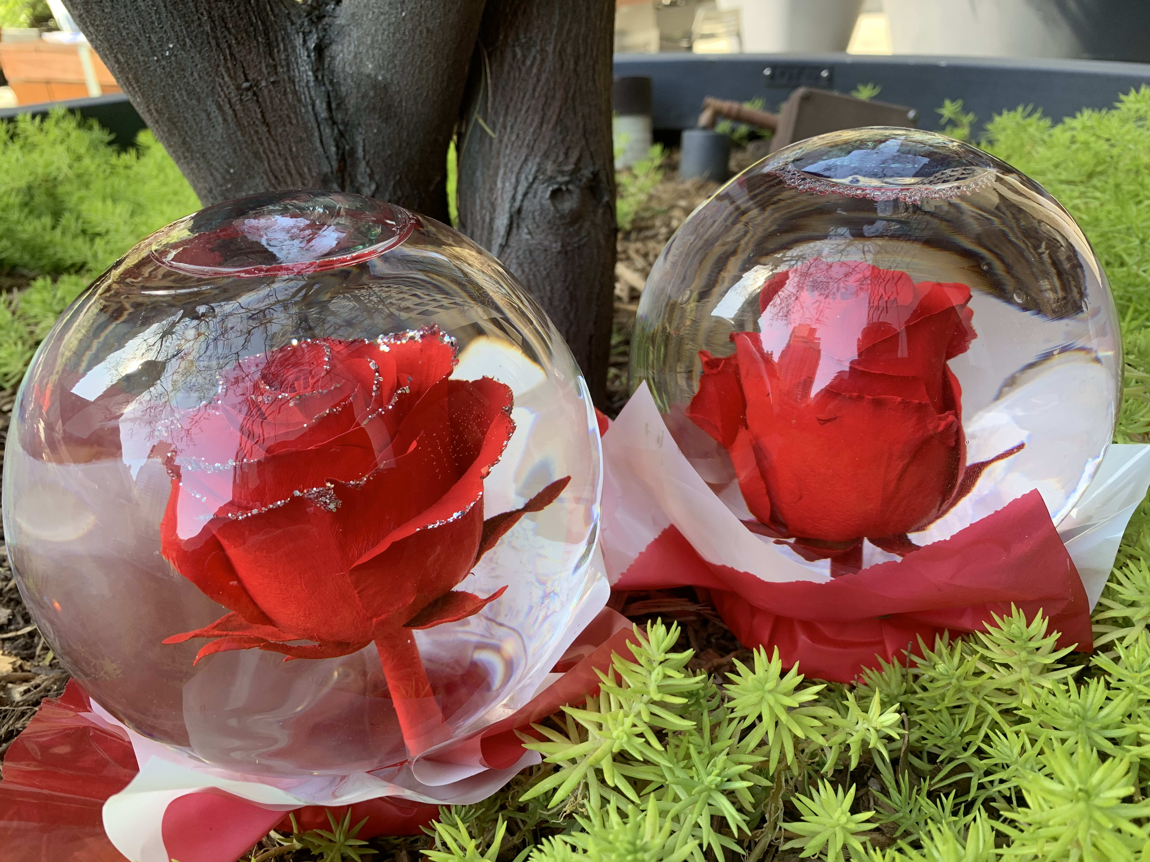 Preserved roses in Los Angeles, CA Downtown Flowers net
