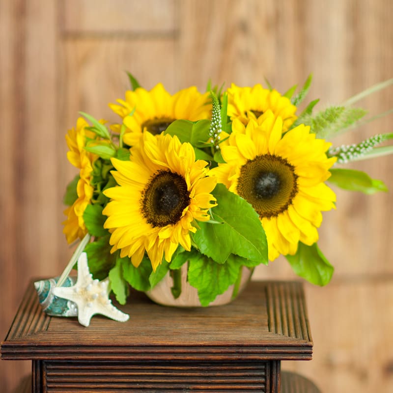 Sunflowers In a Bubble Bowl - A small, sweet bouquet!  Sunflowers and interesting greens gather in a 6&quot; bubble bowl.  Call to make sure we have sunflowers in stock.  Sometimes we have to substitute if we don't have them in stock.