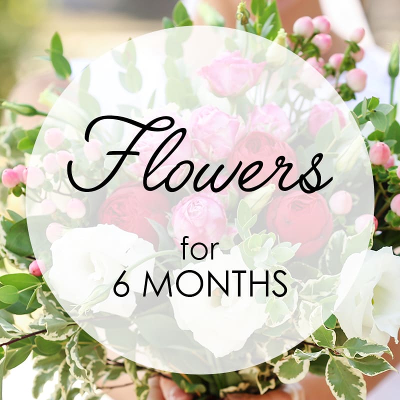 Flowers Every Month Delivery Bouquet Of The Month Club / Maybe you