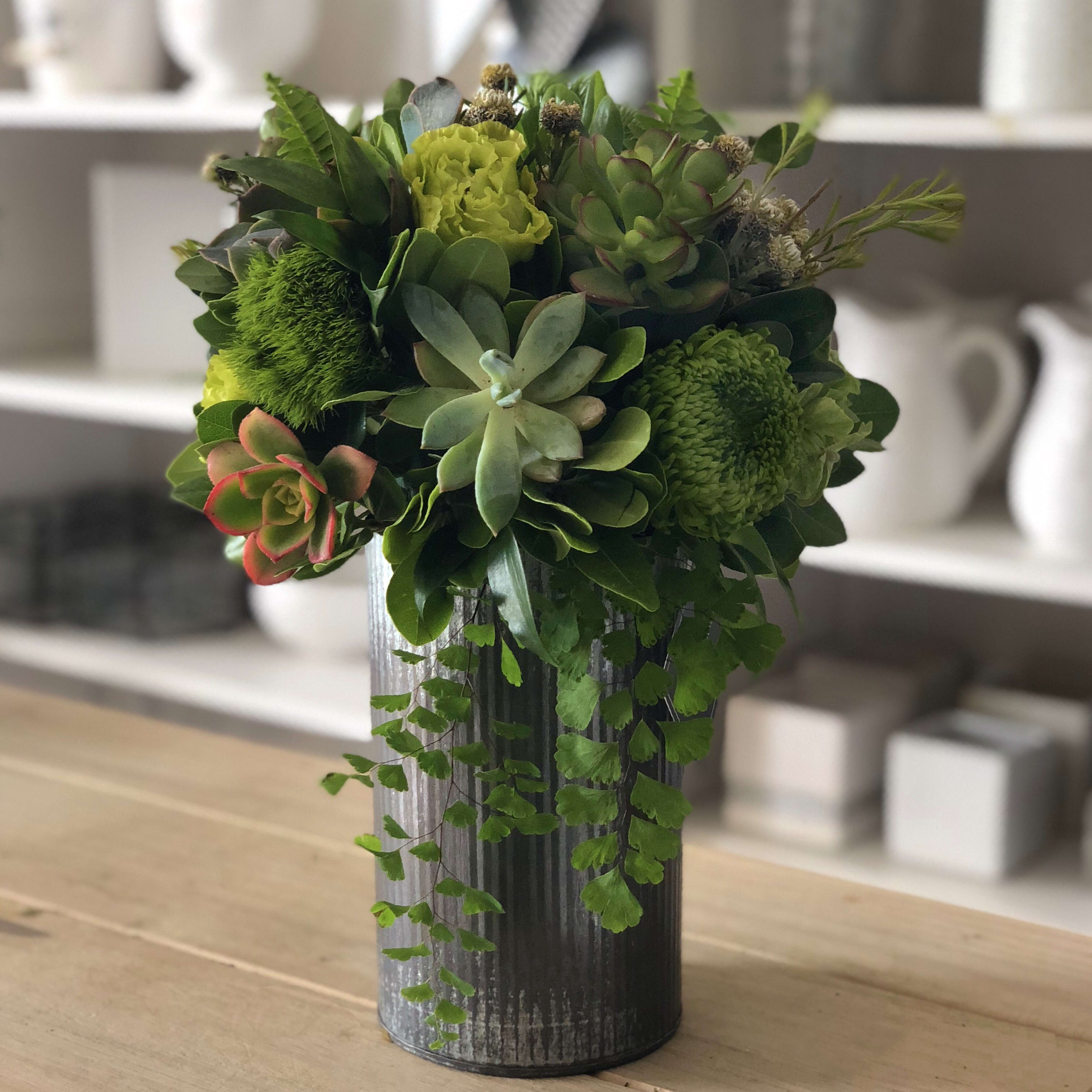 pic Modern Succulent Floral Arrangements modern succulents by my blooming business