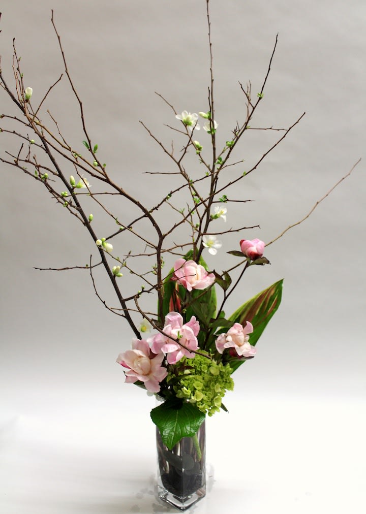 Beauty Blossoms Beauty Blossoms - Blossoms, Peonies and Hydrangeas