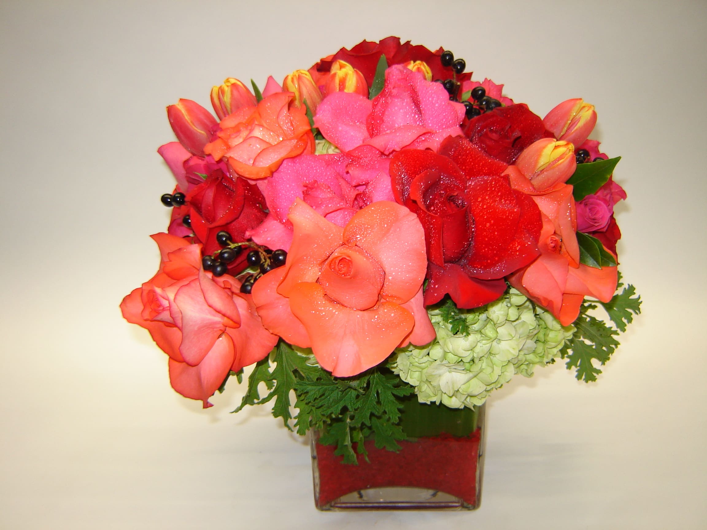 Vibrant Roses and Tulips Vibrant Roses and Tulips - Roses and tulips in a square vase accented with a hydrangea gives this arrangement a beautiful display of color