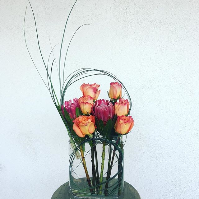Rose Deluxe Rose Deluxe - Roses and Protea combine in this modern design!