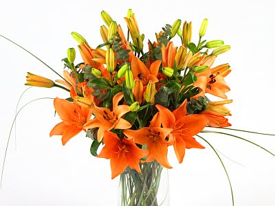 Lilly Sunburst - Bright orange lilies arranged with bear grass