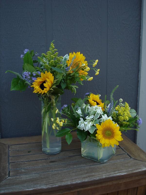 Sunflower Vase In Castle Rock, Co | The Garden Path Co