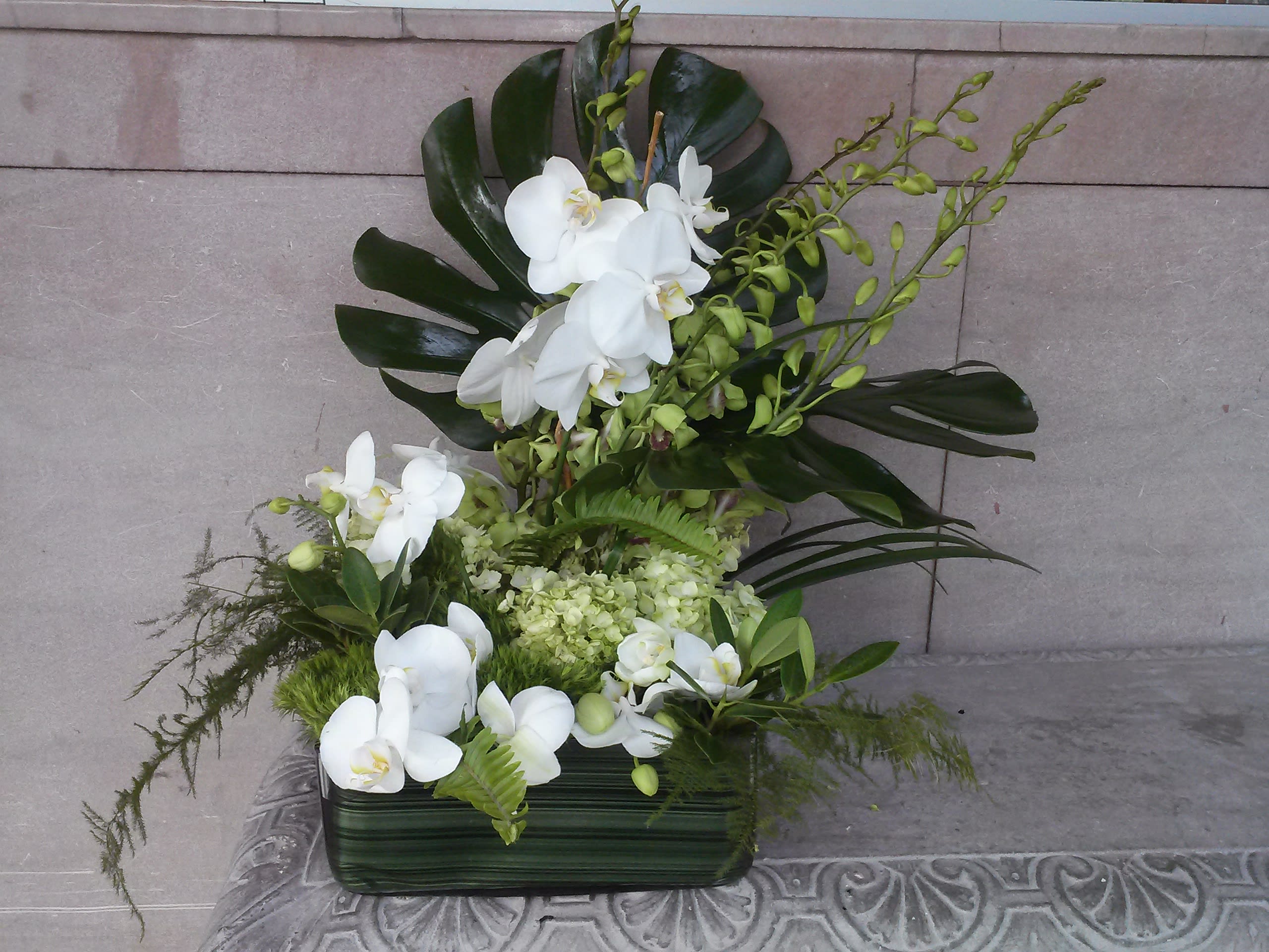modern white elegance - low glass square  roses orchids hydrangeas foliage