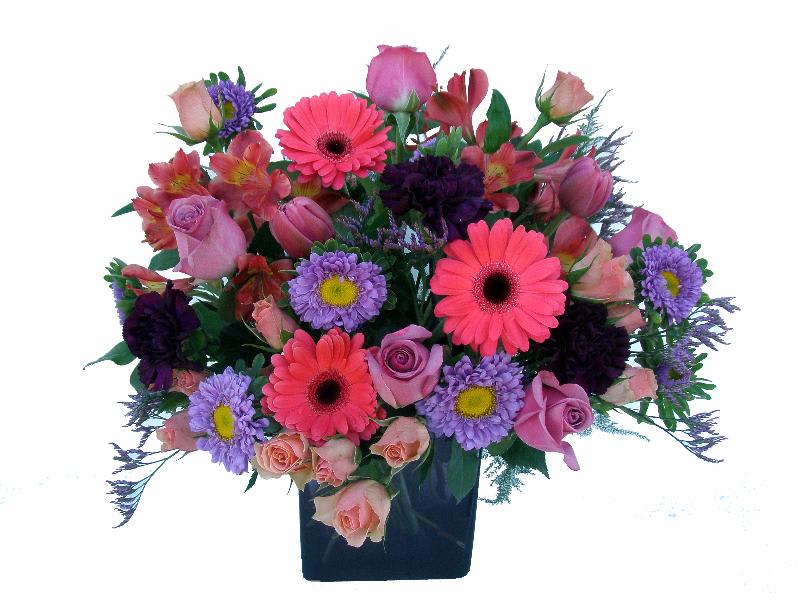 Purple, Pink & Lavender in Cube Vase Purple, Pink & Lavender in Cube Vase - A spectacular assortment of pink gerbera daisies, lavender roses, plum carnations, purple asters in more in this garden-style design.