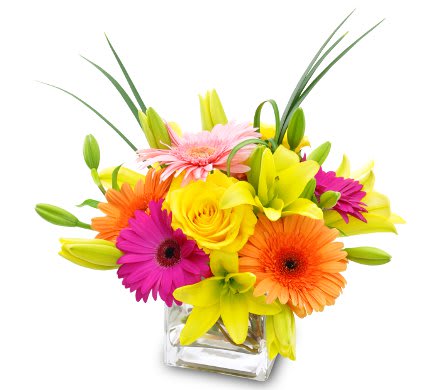 Radiance Radiance - Bursting with vibrant hued Gerbera daisies, roses, and lilies, this cube will brighten her day and remind her that you care!